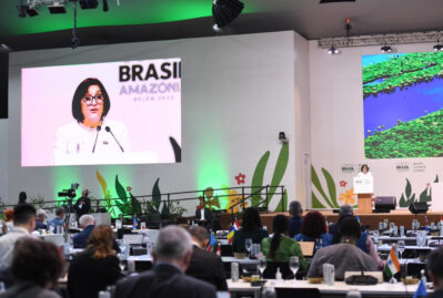 Braziliyada COP29-da əldə edilən nailiyyətlər açıqlandı