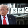 tramp BBC