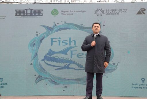 İcra başçısı plaşının qiymətini açıqladı - VİDEO