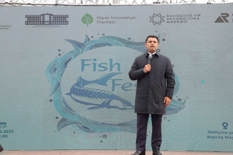 İcra başçısı plaşının qiymətini açıqladı – VİDEO