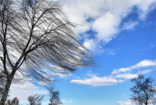 Bu rayonlarda güclü külək əsir