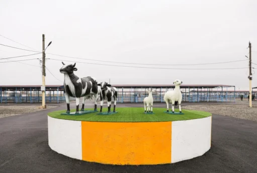 Bu rayonda heyvan bazarı yenidən fəaliyyətə başlayacaq – AQTA açıqladı