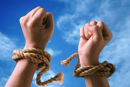 Amnistiya aktı həmrəylik təzahüdür - Cavanşir Feyziyev