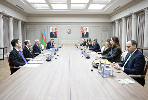 Əli Əsədov Ervin İbrahimoviçlə görüşdü