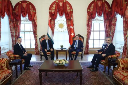 erdogan orban