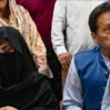 imran busra