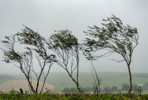Əhaliyə xəbərdarlıq edildi: bu tarixlərdə güclü külək əsəcək 31 Əhaliyə xəbərdarlıq edildi: bu tarixlərdə güclü külək əsəcək