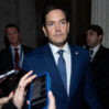 rubio 5 900x600 1
