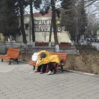 ana ogul