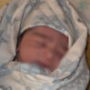 bebek
