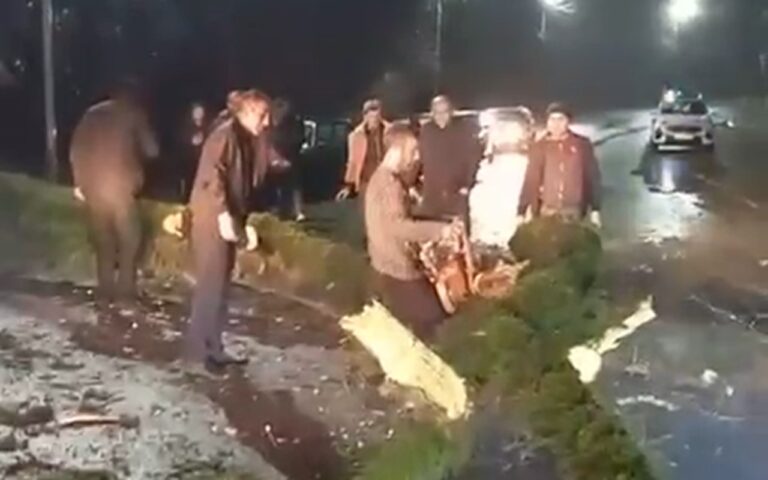 Küləyin aşırdığı ağac Lənkəran-Lerik yolunu bağladı - VİDEO
