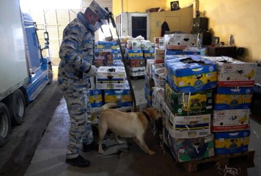 İranla sərhəddə "qarpız" əməliyyatı - VİDEO