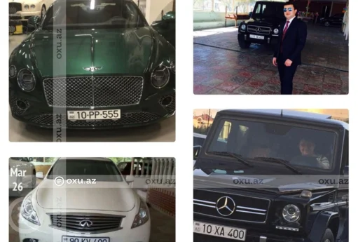 Sabiq məmur oğlu bir milyonluq dələduzluq etdi - Detallar