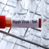 nipah