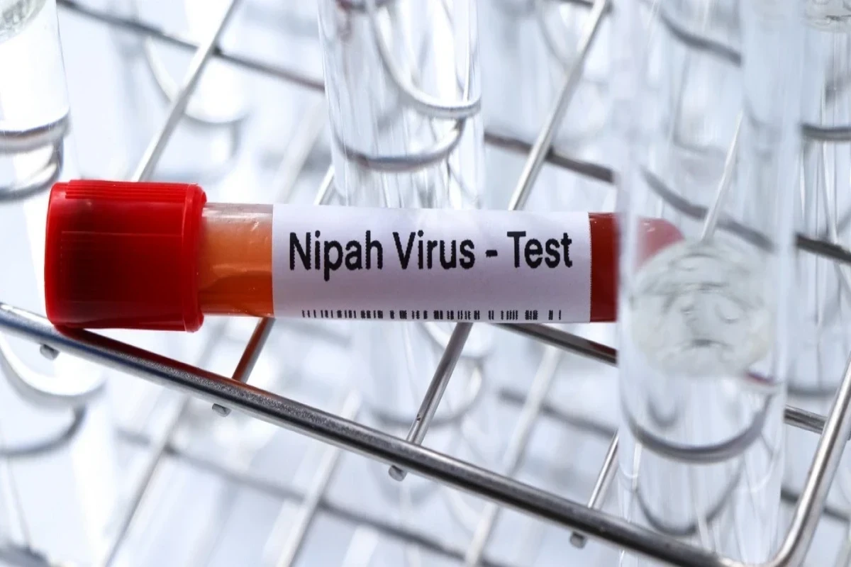 nipah