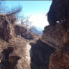qala 0