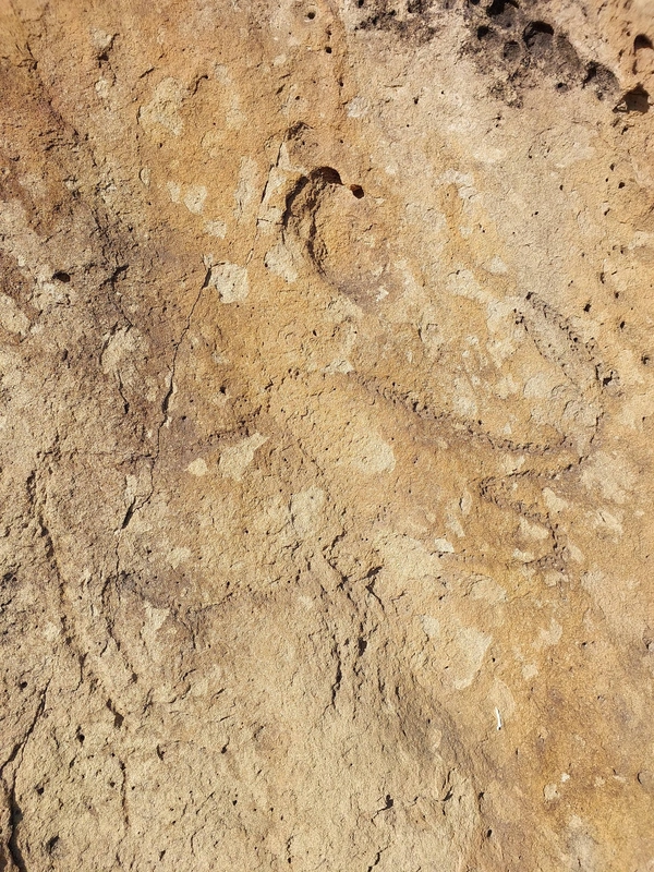 Qobustanda qəribə tapıntı: naməlum təsvir üzə çıxdı