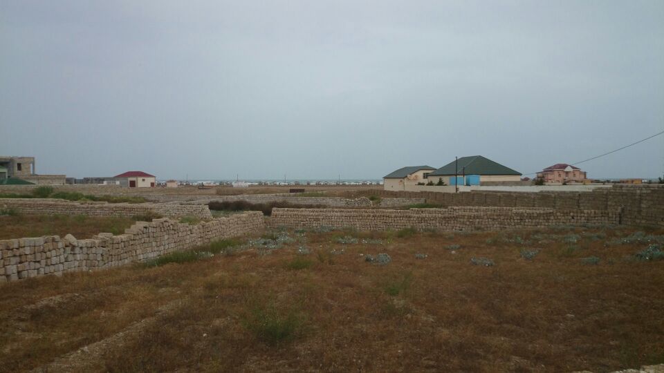 torpaq