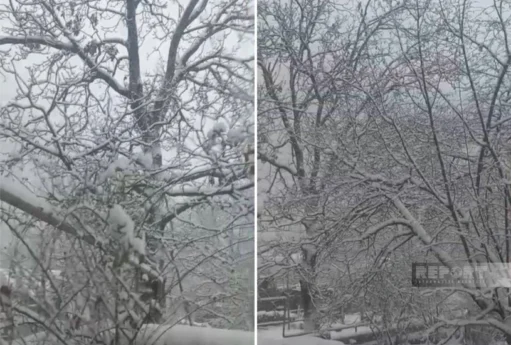 Qaxa 25 sm qar yağıb - VİDEO