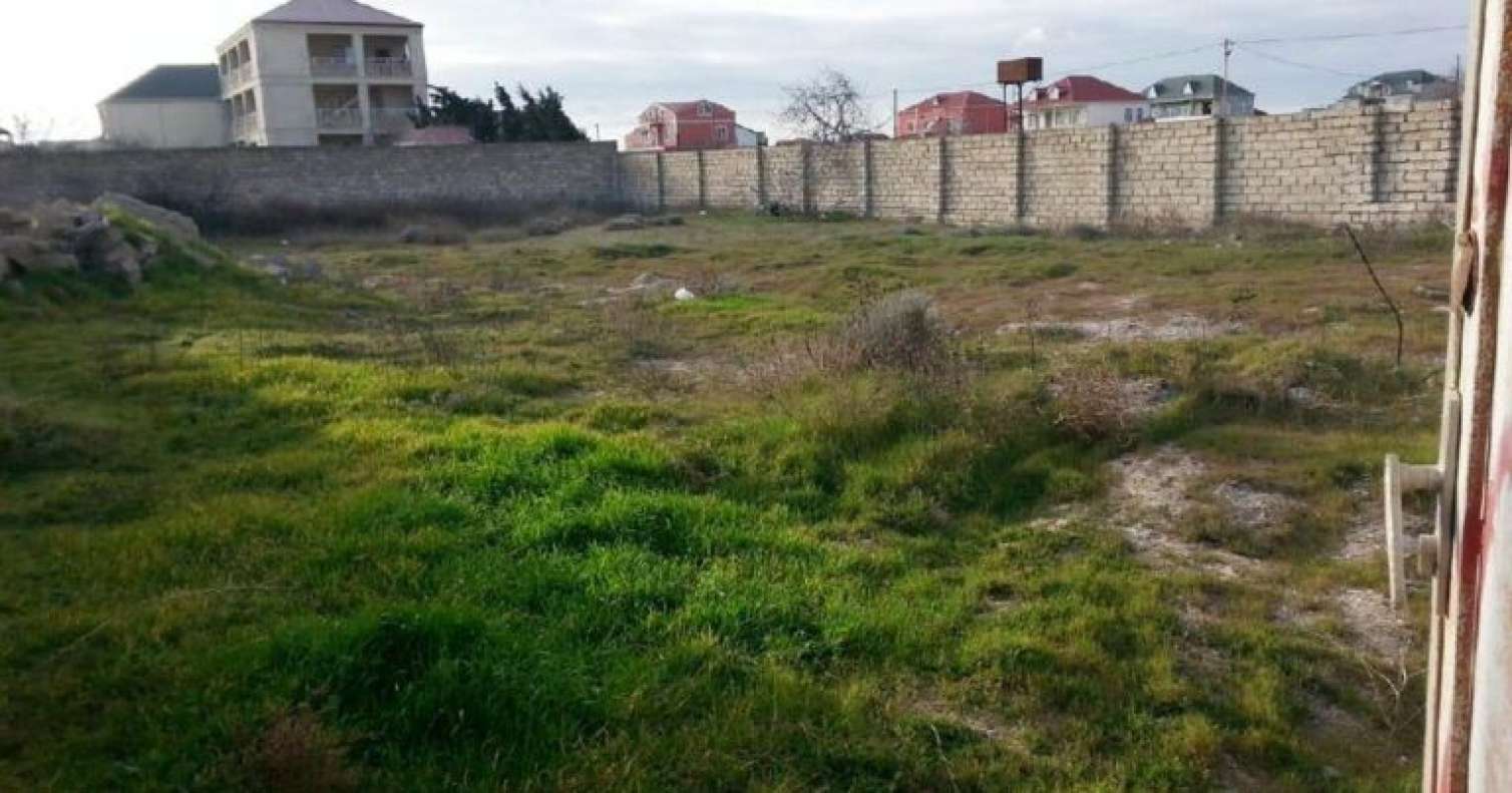 1771089821 e44c130634f26d1edf4fdddb3ce1b61c 31
