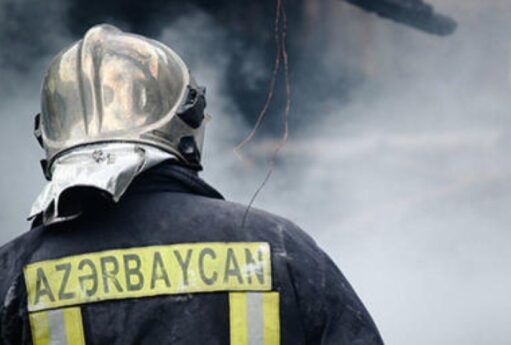 1771089821 e44c130634f26d1edf4fdddb3ce1b61c 4