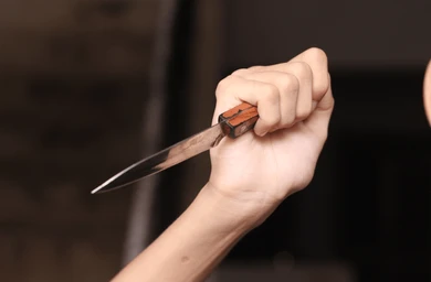 27d9584bb9b81fcbfbf0fdf17184415b