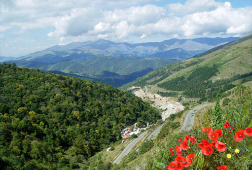 Qarabağ və Şərqi Zəngəzurda investisiya həcmi açıqlandı 16 69975aa599972792bc838485 3