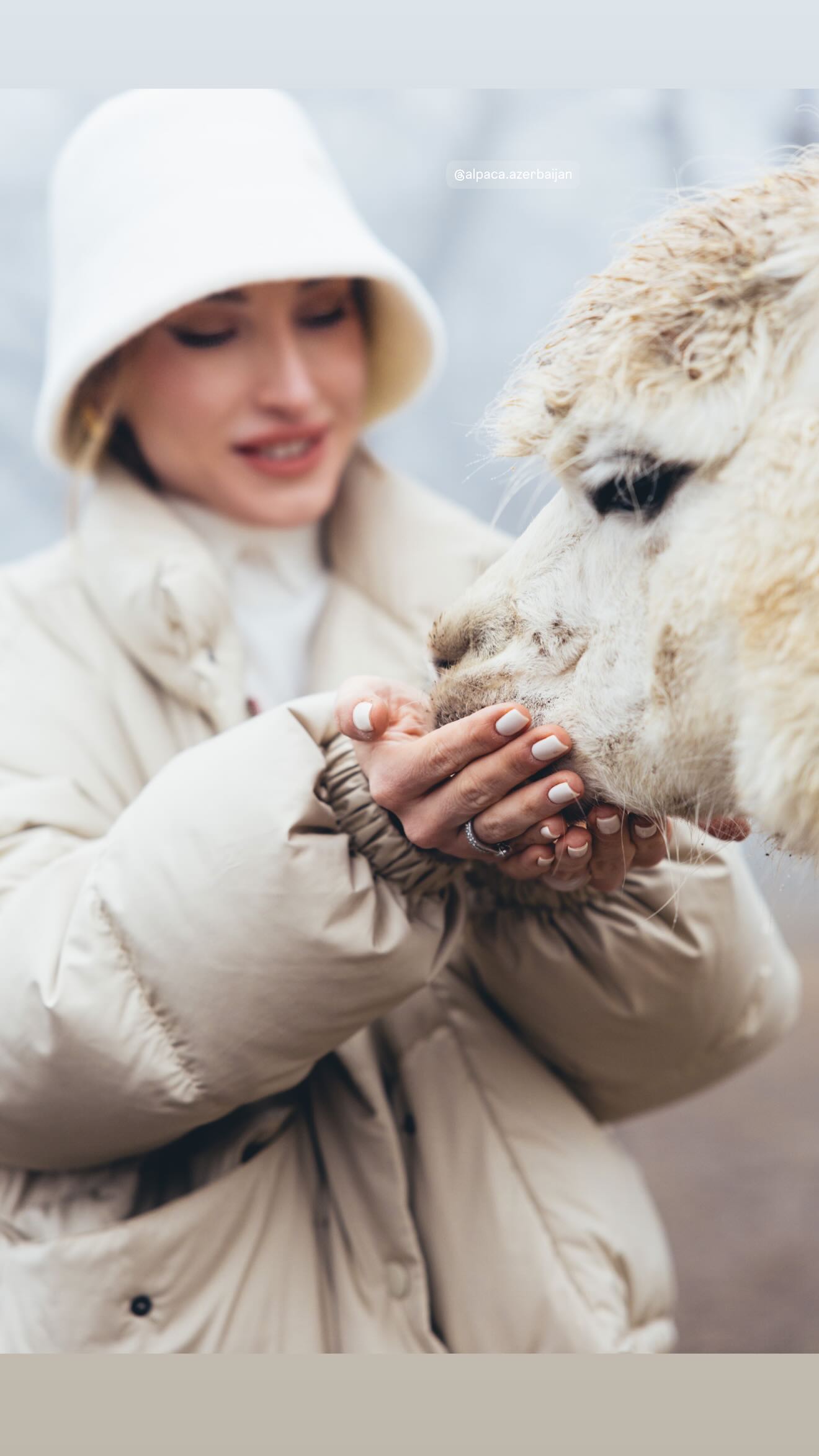 699f3d75c846a699f3d75c846b1772043637699f3d75c8467699f3d75c8469 5