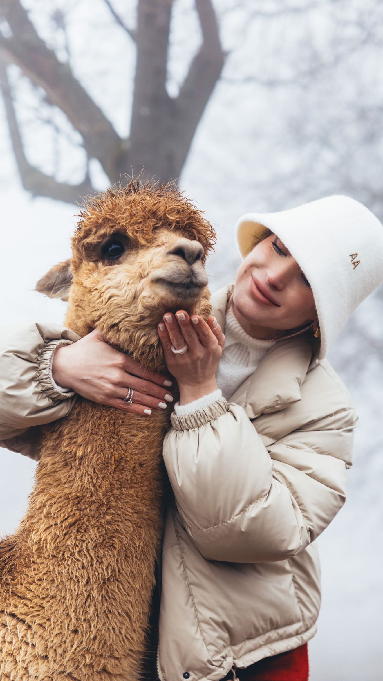 699f3d75d429a699f3d75d429b1772043637699f3d75d4298699f3d75d4299 10