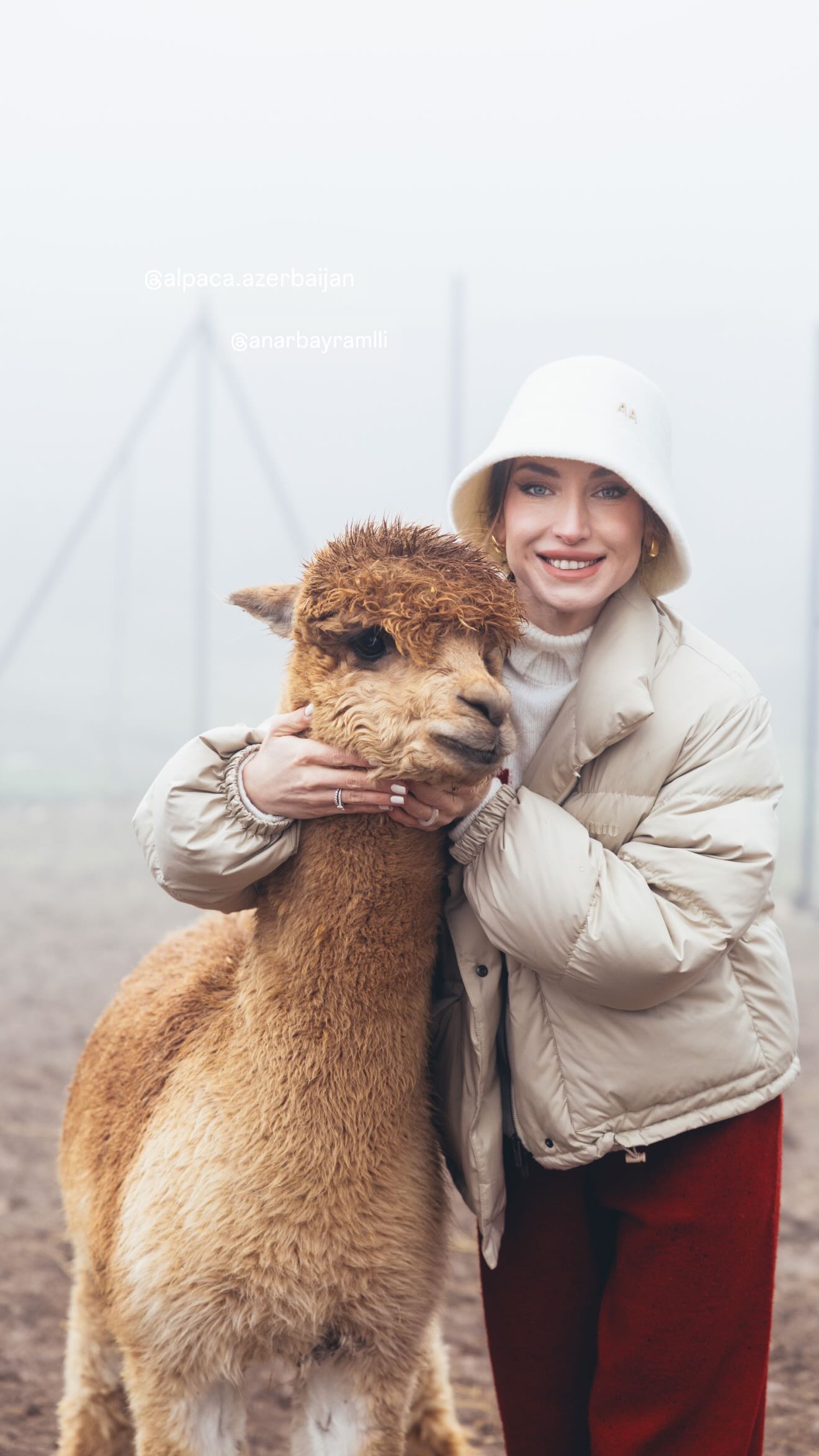 699f3d75db906699f3d75db9071772043637699f3d75db904699f3d75db905 12