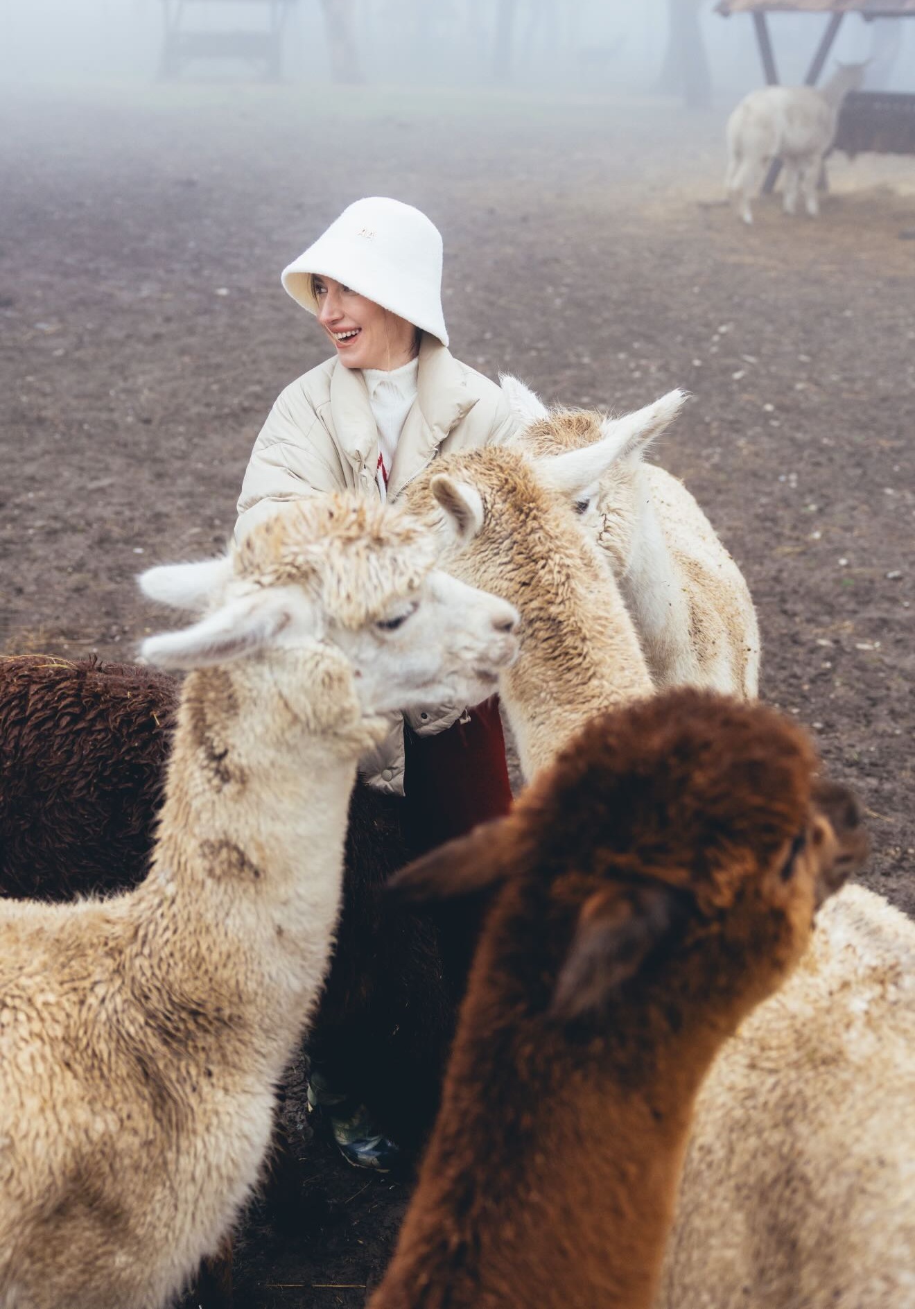 699f3d75e2053699f3d75e20541772043637699f3d75e2051699f3d75e2052 5