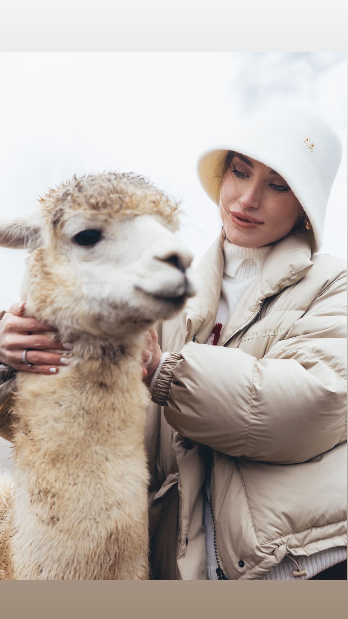 699f3d75ea781699f3d75ea7821772043637699f3d75ea77e699f3d75ea780 10