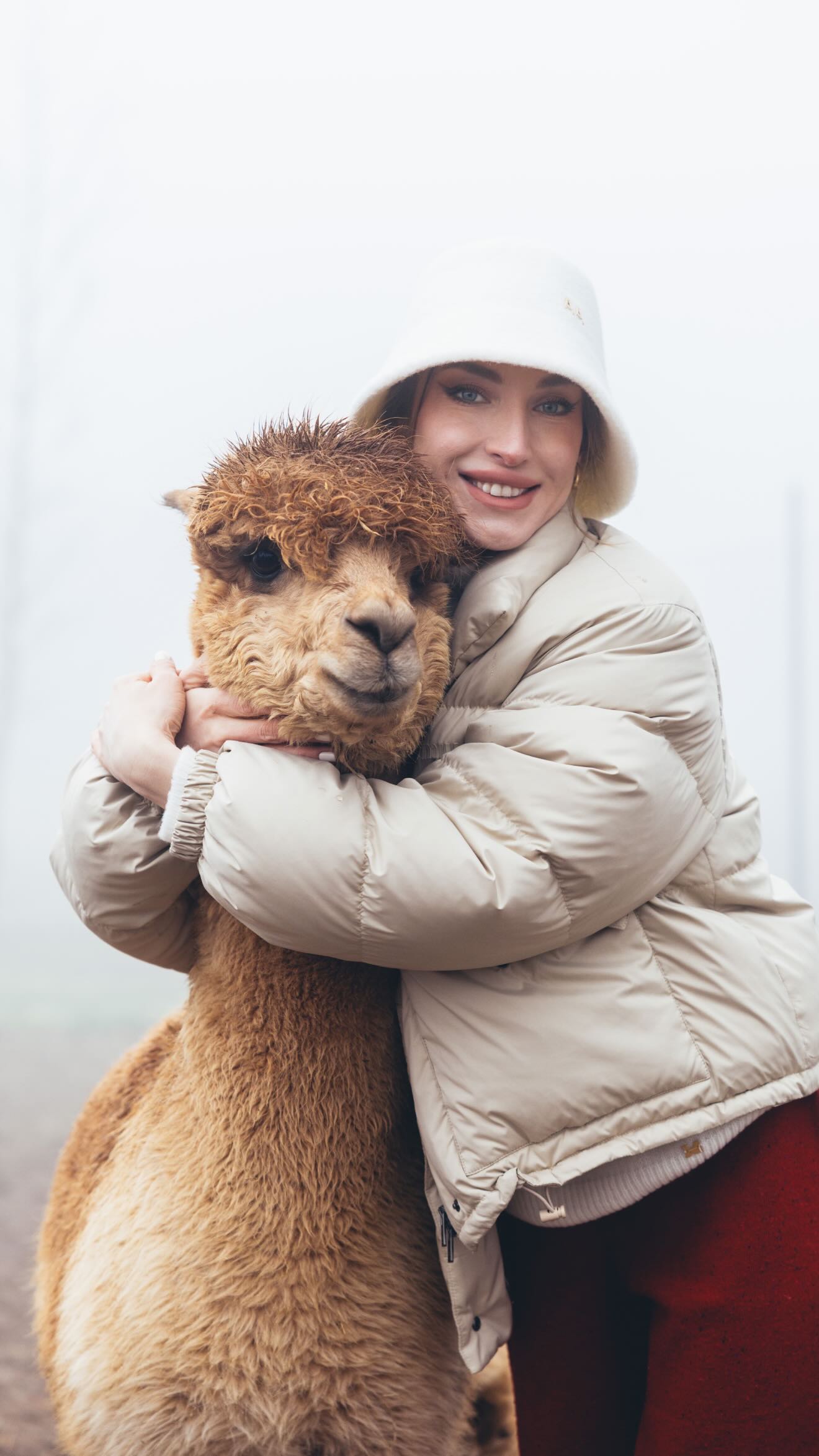 Prezidentin gəlininin alpaka fermasından maraqlı FOTOLARI 9 699f3d75f31ca699f3d75f31cb1772043637699f3d75f31c7699f3d75f31c9 4