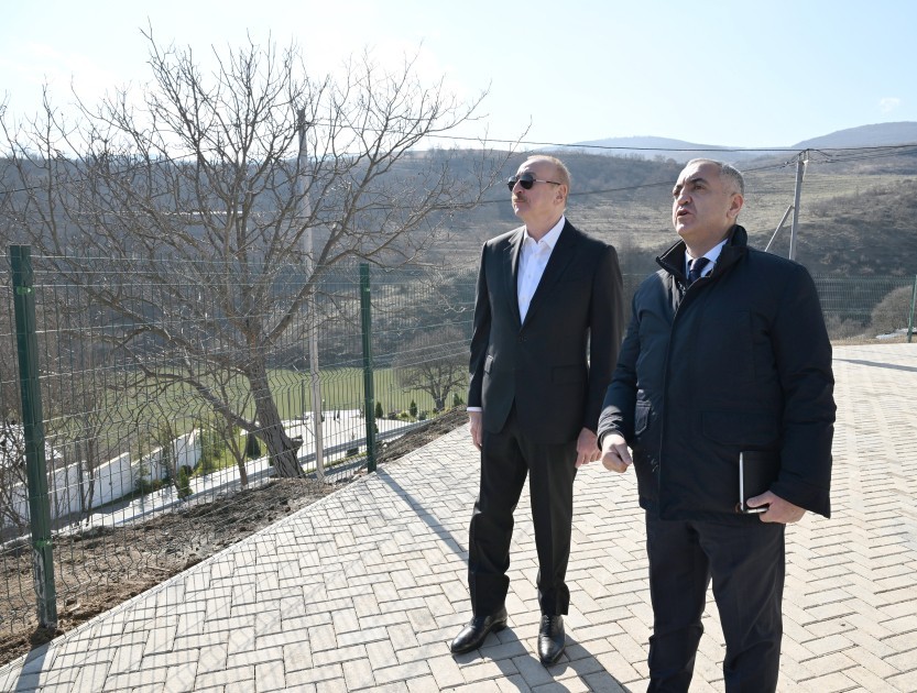 699f3d7615fdc699f3d7615fdd1772043637699f3d7615fda699f3d7615fdb