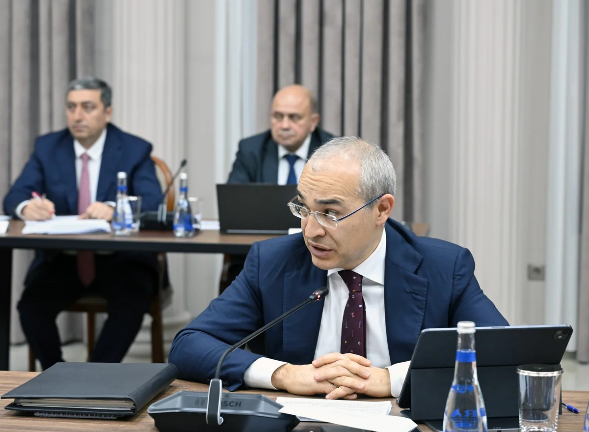 Əli Əsədovun sədrliyi ilə növbəti iclas keçirildi - FOTOLAR 2 N 42