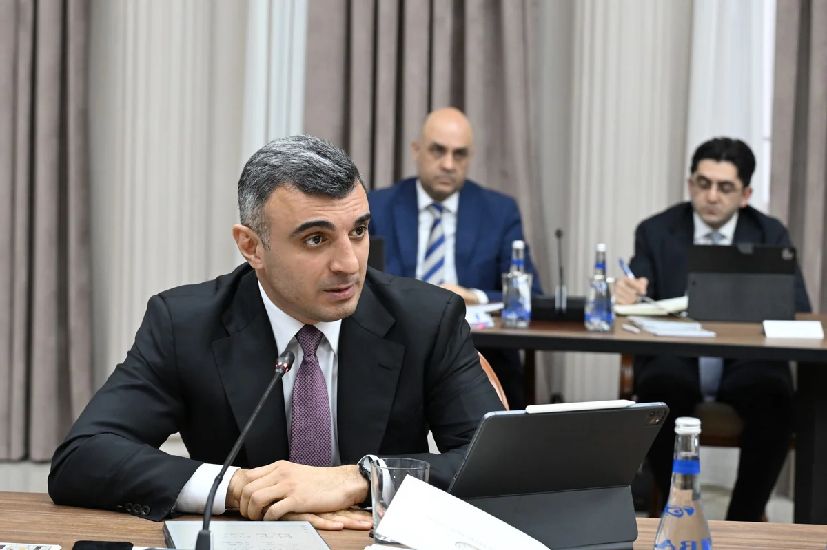 Əli Əsədovun sədrliyi ilə növbəti iclas keçirildi - FOTOLAR 4 N 44