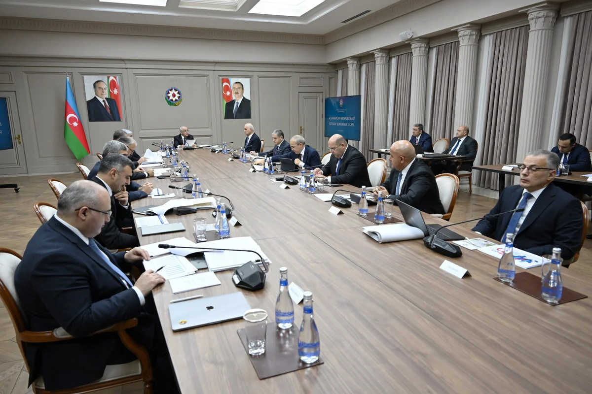 Əli Əsədovun sədrliyi ilə növbəti iclas keçirildi - FOTOLAR 8 N 48