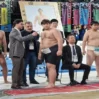 azerbaycan sumo