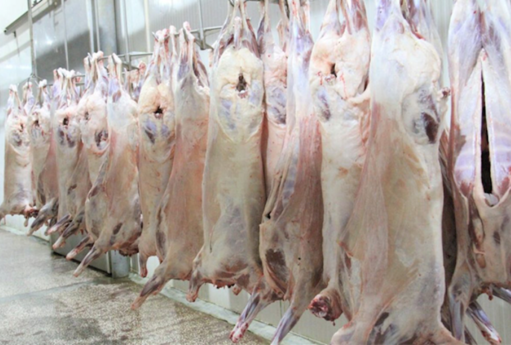 Ötən il Monqolustandan 900 tona yaxın ət idxal edilib 17 et 1