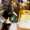 img 20260128 wa0132 1 11