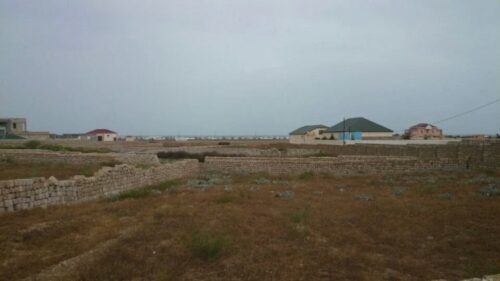 img 20260128 wa0132 1 7