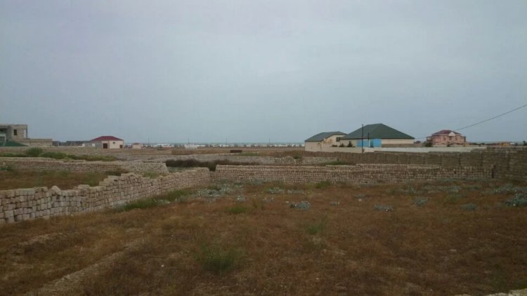 img 20260128 wa0132 1 7