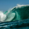 img 20260128 wa0132 10