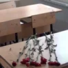 mkt 1