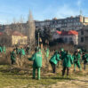 pitomnik