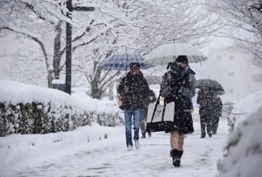 qar baki qar 900x599 1