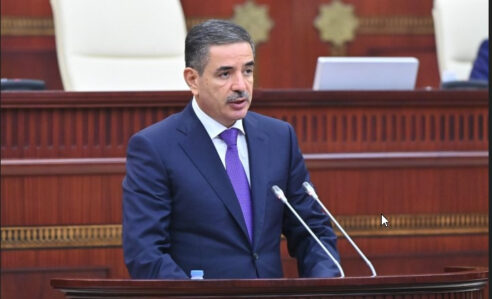General Milli Məclisdə illik məlumatı təqdim etdi