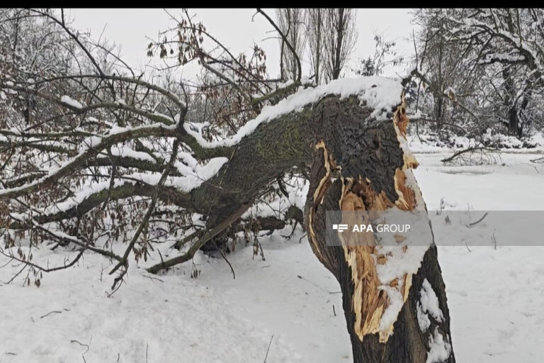 Cəlilabadda qarlı hava yol qəzalarına səbəb oldu - FOTOLAR