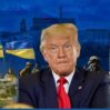 tramp 1 900x499 1