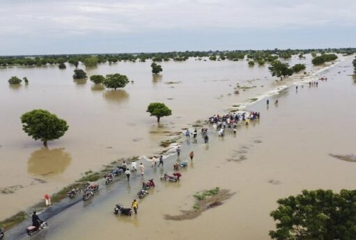 1713120969 daqn fotosu